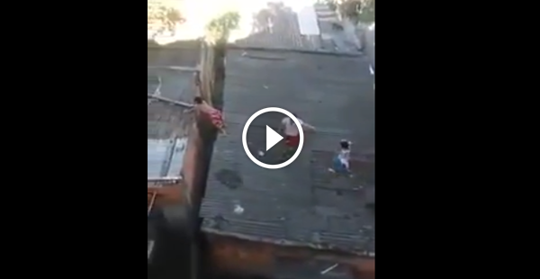 Três crianças sem noção e uma pipa num telhado zuado