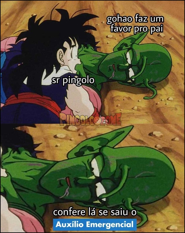 Senhor Piccolo